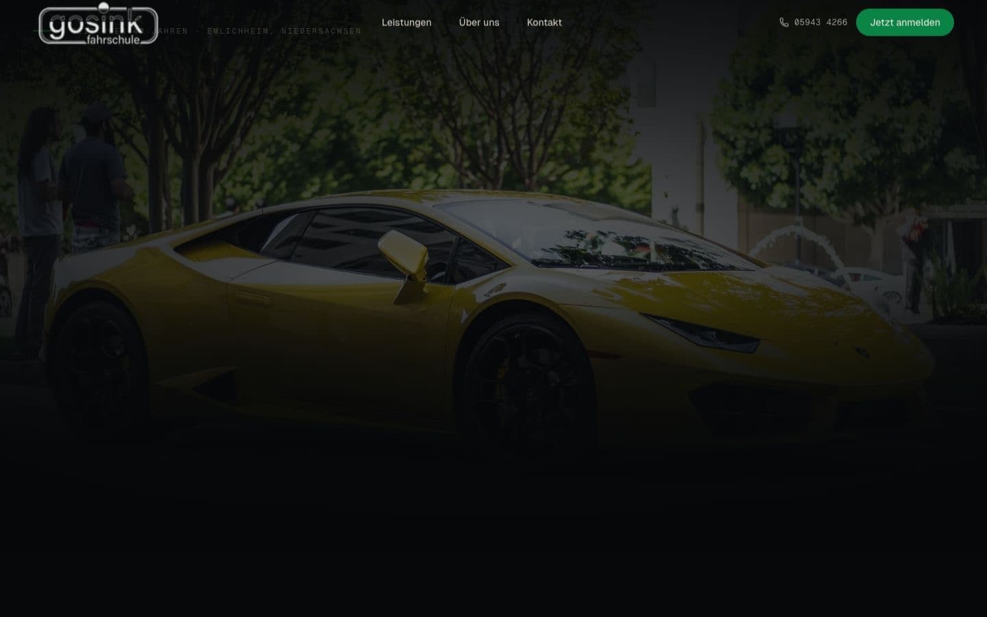 Screenshot der Website fahrschule-gosink.de auf einem Desktop-Browser